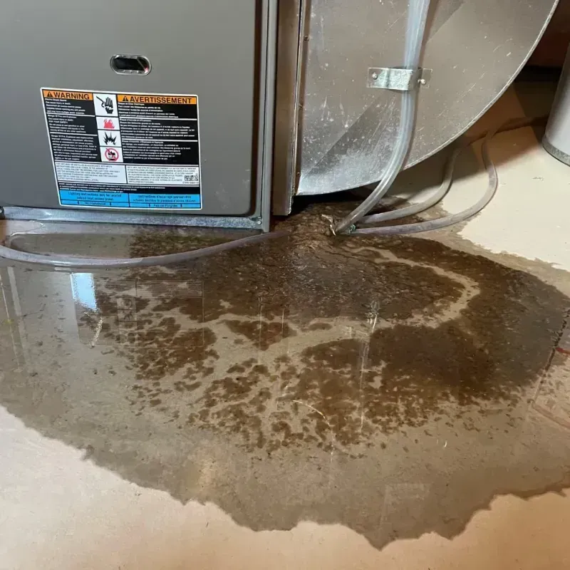 Appliance Leak Cleanup in Rochester, MA